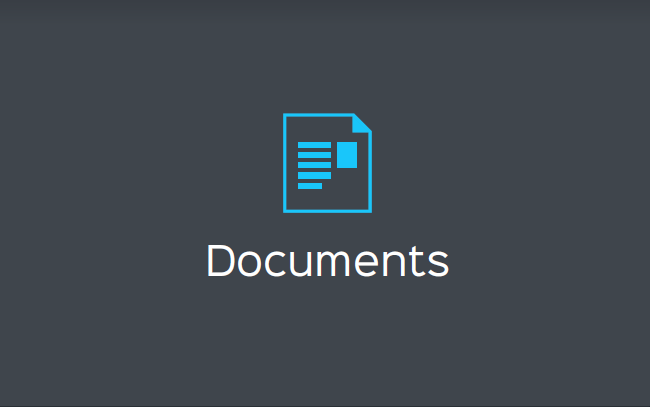 PDF Icon